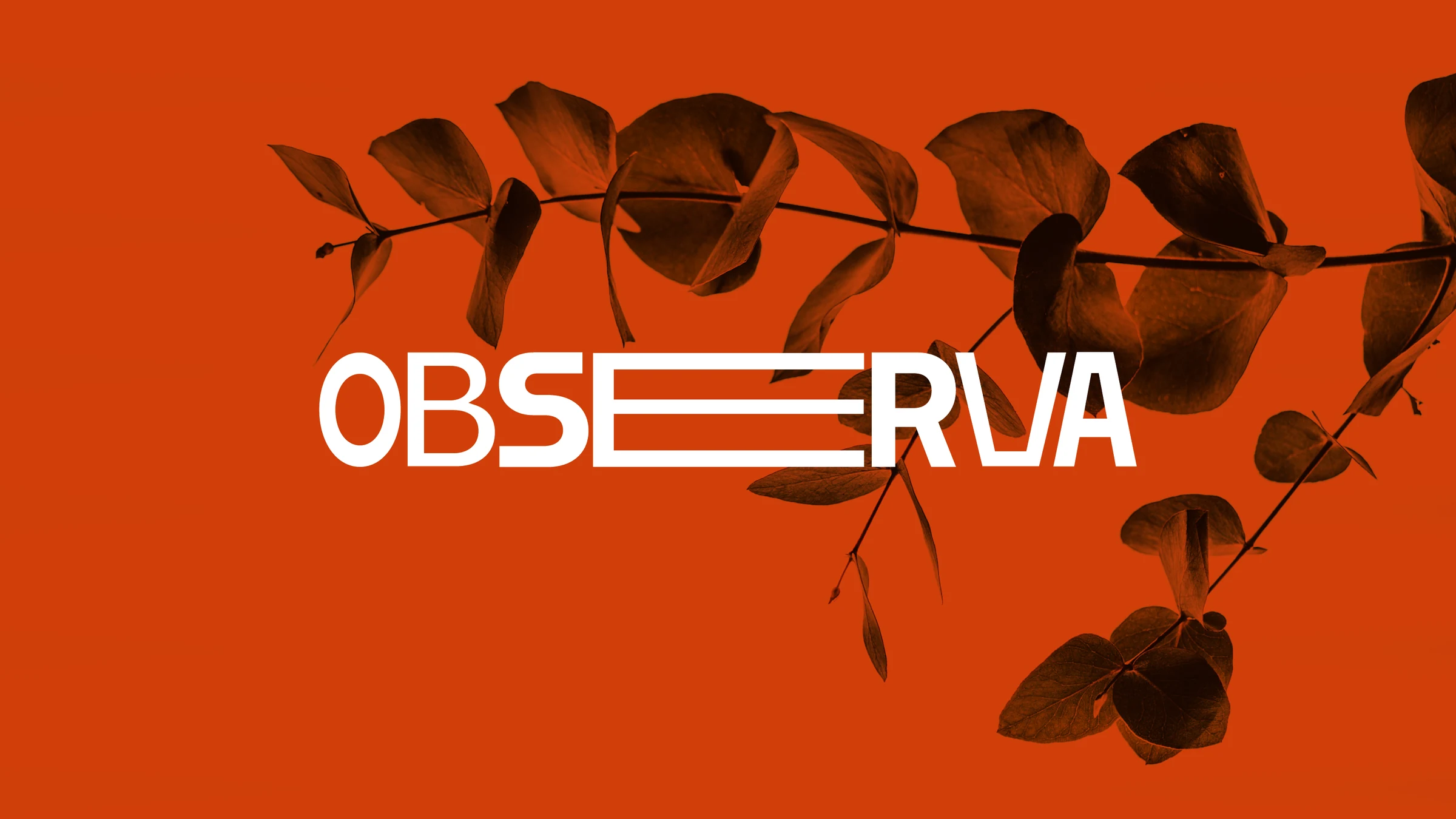 Observa selected identity application 1.